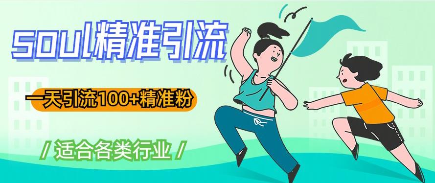 soul精准引流系列课程，一天引流100+精准粉，适合各类行业_中创网,自媒体短视频教学_网创项目_网络创业无忧资源网