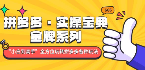 拼多多·实操宝典：金牌系列“小白到高手”带你全方位玩转拼多多各种玩法_中创网,自媒体短视频教学_网创项目_网络创业无忧资源网