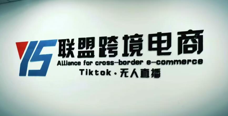 YS联盟·Tiktok无人直播，不出镜不剪辑不拍摄不发货无售后的跨境短视频躺赚玩法_中创网,自媒体短视频教学_网创项目_网络创业无忧资源网