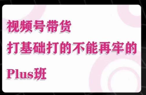 大播汇·视频号带货Puls班，视频号底层逻辑，起号自然流鱼塘等玩法_中创网,自媒体短视频教学_网创项目_网络创业无忧资源网