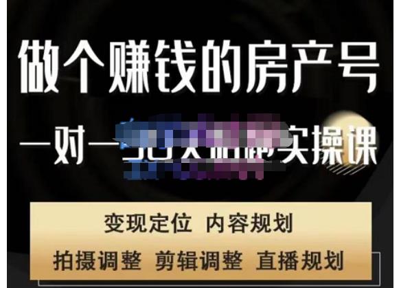 刘广标·同城房产号线上陪跑课，拍摄、剪辑、写文案、直播，做一个具有潜力价值的房产号_中创网,自媒体短视频教学_网创项目_网络创业无忧资源网