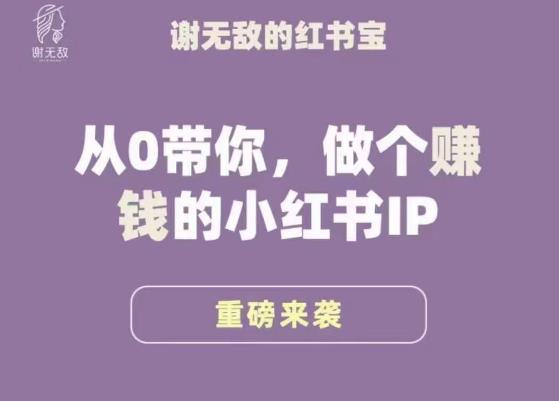 谢无敌·小红书运营大宝典，从0带你做个赚钱的小红书IP_中创网,自媒体短视频教学_网创项目_网络创业无忧资源网