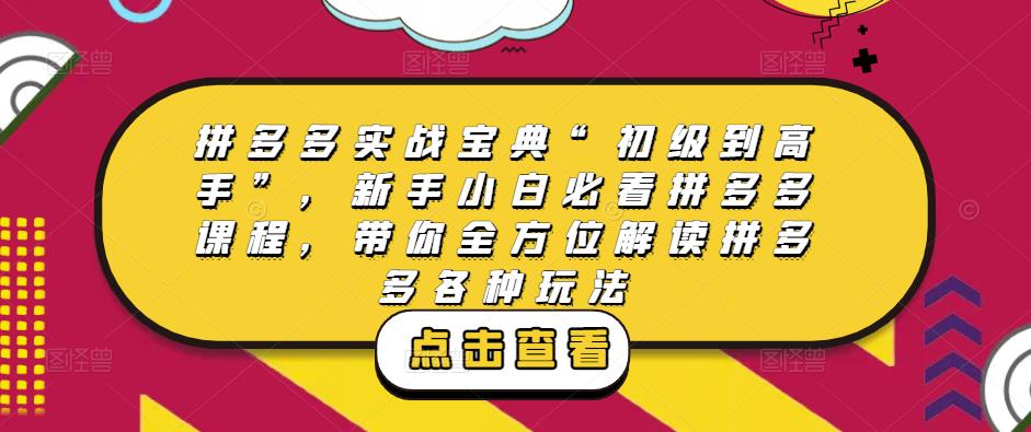 拼多多实战宝典“初级到高手”，新手小白必看拼多多课程，带你全方位解读拼多多各种玩法_中创网,自媒体短视频教学_网创项目_网络创业无忧资源网