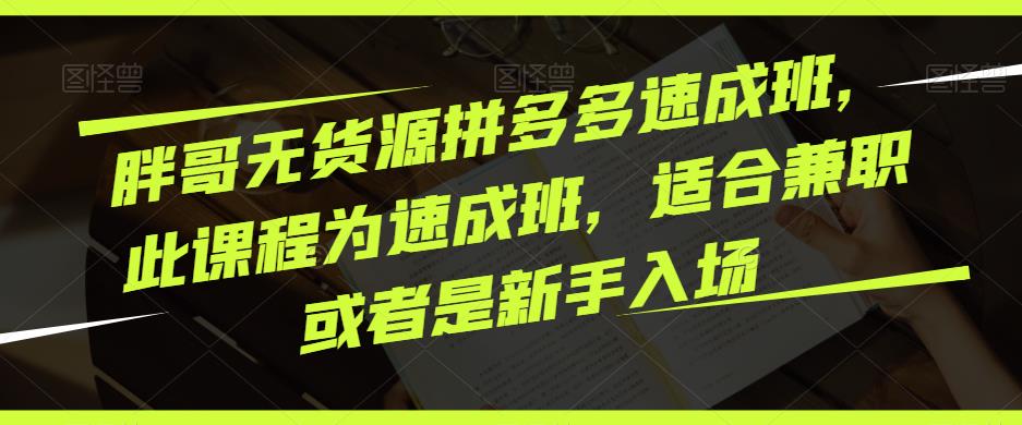 胖哥无货源拼多多速成班，此课程为速成班，适合兼职或者是新手入场_中创网,自媒体短视频教学_网创项目_网络创业无忧资源网