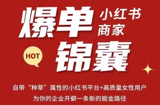 无畏·小红书商家爆单锦囊，掌握小红书各大规则，快速精准抢占行业和市场_中创网,自媒体短视频教学_网创项目_网络创业无忧资源网