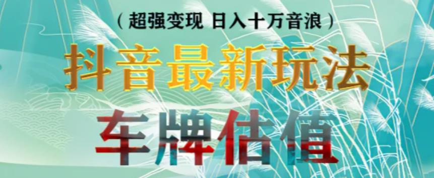 抖音最新无人直播变现直播车牌估值玩法项目，轻松日赚几百+【详细玩法教程】_中创网,自媒体短视频教学_网创项目_网络创业无忧资源网