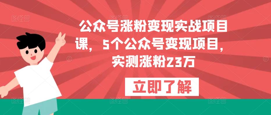 公众号涨粉变现实战项目课，5个公众号变现项目，实测涨粉23万_中创网,自媒体短视频教学_网创项目_网络创业无忧资源网