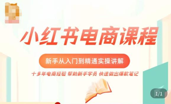 小红书电商新手入门到精通实操课，从入门到精通做爆款笔记，开店运营_中创网,自媒体短视频教学_网创项目_网络创业无忧资源网