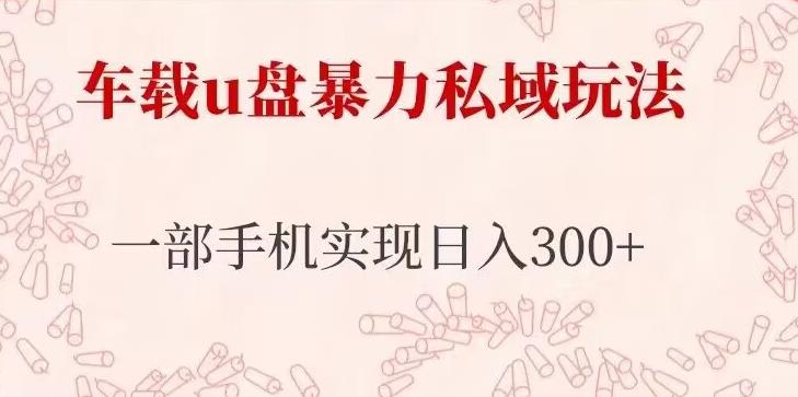 车载u盘暴力私域玩法，长期项目，仅需一部手机实现日入300+_中创网,自媒体短视频教学_网创项目_网络创业无忧资源网