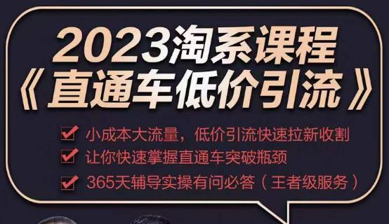 2023直通车低价引流玩法课程，小成本大流量，低价引流快速拉新收割，让你快速掌握直通车突破瓶颈_中创网,自媒体短视频教学_网创项目_网络创业无忧资源网
