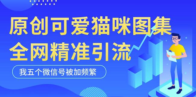 黑科技纯原创可爱猫咪图片，全网精准引流，实操5个VX号被加频繁_中创网,自媒体短视频教学_网创项目_网络创业无忧资源网