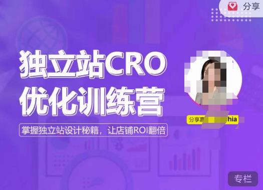 独立站CRO优化训练营，掌握独立站设计秘籍，打造高转化的独立站，让店铺ROI翻倍_中创网,自媒体短视频教学_网创项目_网络创业无忧资源网
