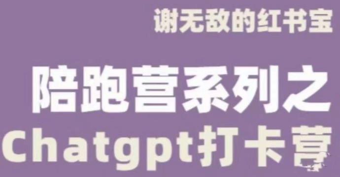 谢无敌ChatGPT打卡营，教你更好地使用ChatGPT来提高工作效率_中创网,自媒体短视频教学_网创项目_网络创业无忧资源网
