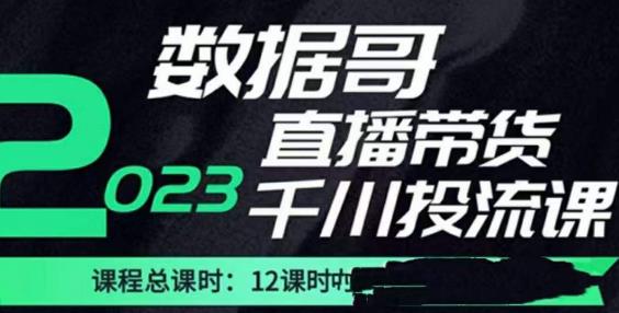 数据哥2023直播电商巨量千川付费投流实操课，快速掌握直播带货运营投放策略_中创网,自媒体短视频教学_网创项目_网络创业无忧资源网