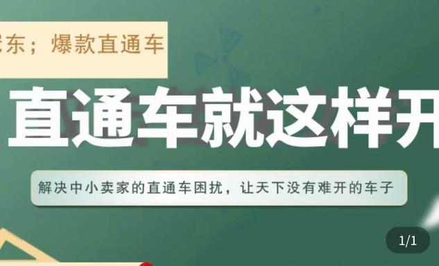 冠东·淘系直通车保姆级教程，全面讲解直通车就那么简单_中创网,自媒体短视频教学_网创项目_网络创业无忧资源网