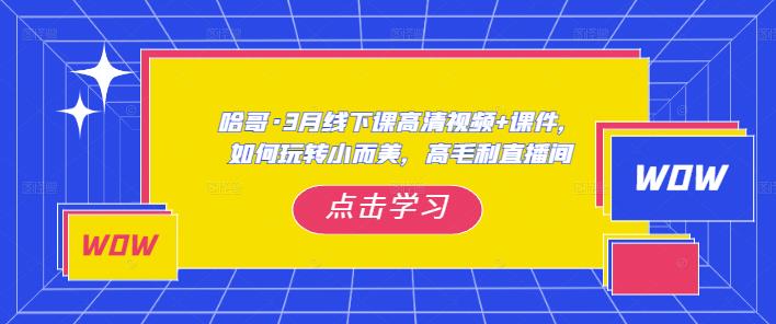 哈哥·3月线下实操课高清视频+课件，如何玩转小而美，高毛利直播间_中创网,自媒体短视频教学_网创项目_网络创业无忧资源网
