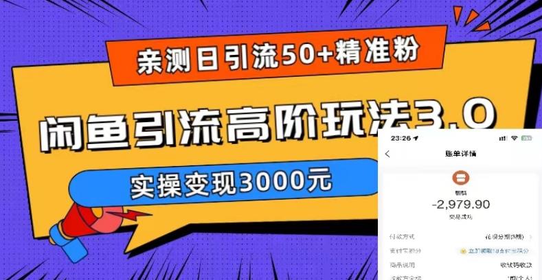 亲测日引50+精准粉，闲鱼引流高阶玩法3.0，实操变现3000元【揭秘】_中创网,自媒体短视频教学_网创项目_网络创业无忧资源网