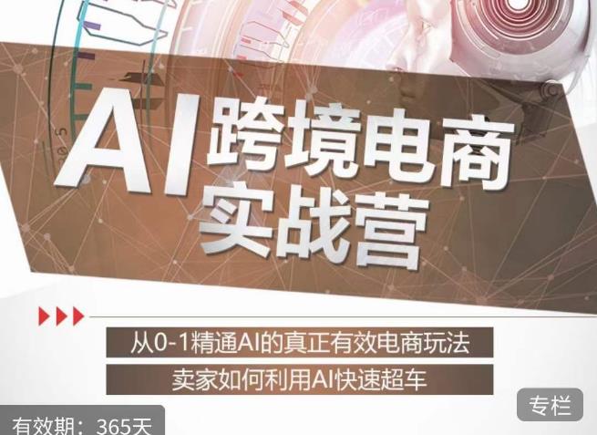 白龙老师·AI跨境电商实战营：从0-1精通Al的真正有效电商玩法，卖家如何利用Al快速超车_中创网,自媒体短视频教学_网创项目_网络创业无忧资源网