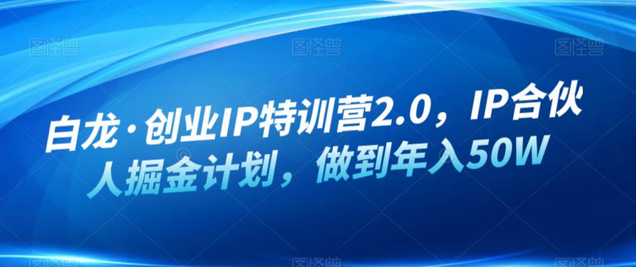 白龙·创业IP特训营2.0，IP合伙人掘金计划，做到年入50W_中创网,自媒体短视频教学_网创项目_网络创业无忧资源网