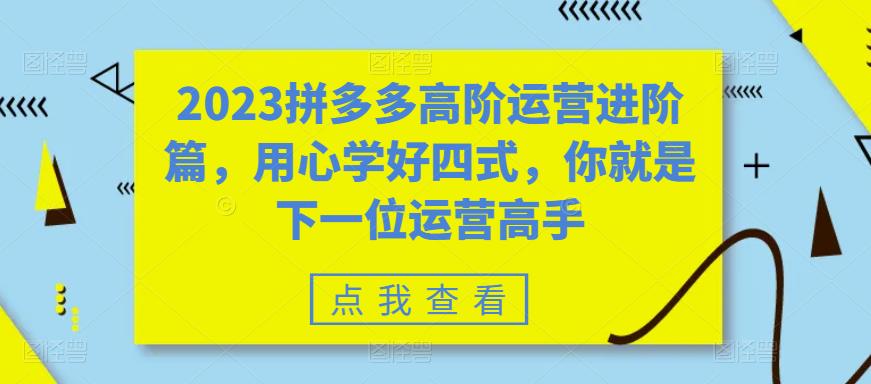 2023拼多多高阶运营进阶篇，用心学好四式，你就是下一位运营高手_中创网,自媒体短视频教学_网创项目_网络创业无忧资源网
