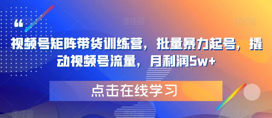 视频号矩阵带货训练营，批量暴力起号，撬动视频号流量，月利润5w+_中创网,自媒体短视频教学_网创项目_网络创业无忧资源网