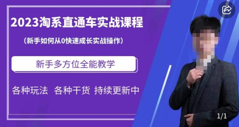 2023淘系直通车保姆式运营讲解，新手如何从0快速成长实战操作，新手多方位全能教学_中创网,自媒体短视频教学_网创项目_网络创业无忧资源网