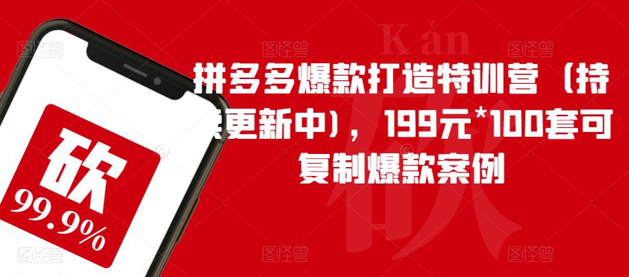 拼多多爆款打造特训营（持续更新中)，199元*100套可复制爆款案例_中创网,自媒体短视频教学_网创项目_网络创业无忧资源网