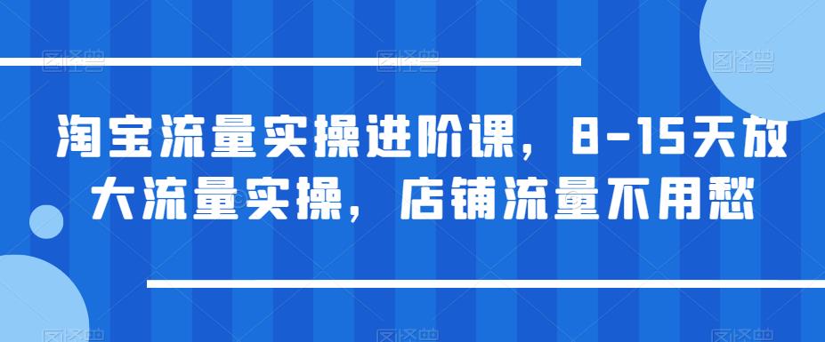 淘宝流量实操进阶课，8-15天放大流量实操，店铺流量不用愁_中创网,自媒体短视频教学_网创项目_网络创业无忧资源网