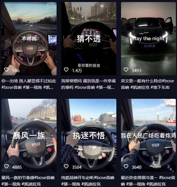 抖音开车视频项目，0基础操作，每天五分钟，月入1W+【揭秘】_中创网,自媒体短视频教学_网创项目_网络创业无忧资源网