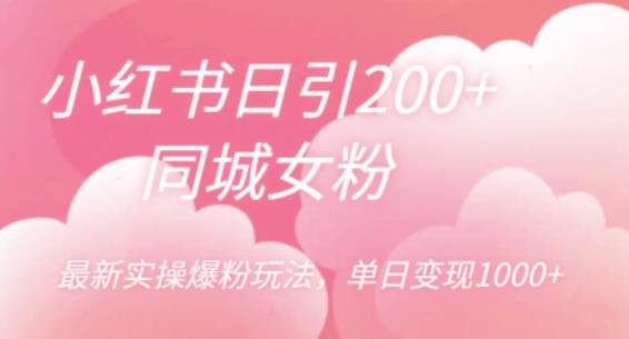 小红书日引200+同城女粉，最新实操爆粉玩法，单日变现1000+【揭秘】_中创网,自媒体短视频教学_网创项目_网络创业无忧资源网