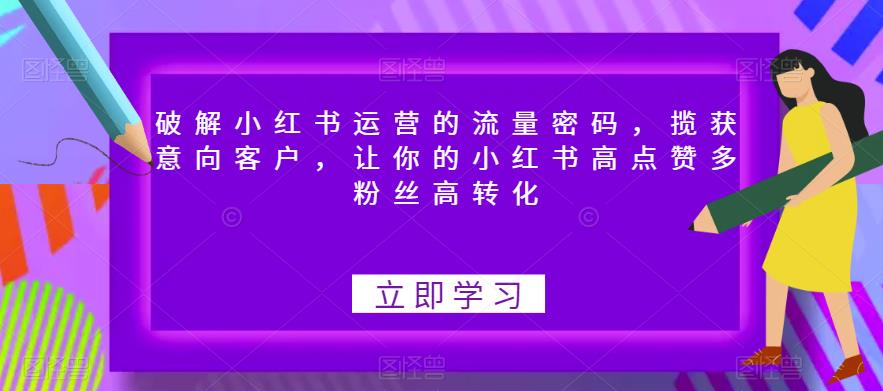 破解小红书运营的流量密码，揽获意向客户，让你的小红书高点赞多粉丝高转化_中创网,自媒体短视频教学_网创项目_网络创业无忧资源网