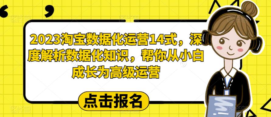 2023淘宝数据化运营14式，深度解析数据化知识，帮你从小白成长为高级运营_中创网,自媒体短视频教学_网创项目_网络创业无忧资源网
