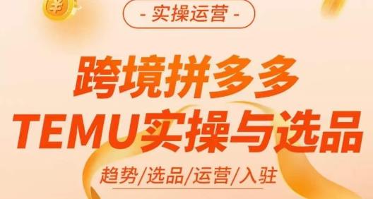 伍跃·跨境拼多多TEMU实操与选品，​趋势/选品/运营/入住（27节完整）_中创网,自媒体短视频教学_网创项目_网络创业无忧资源网