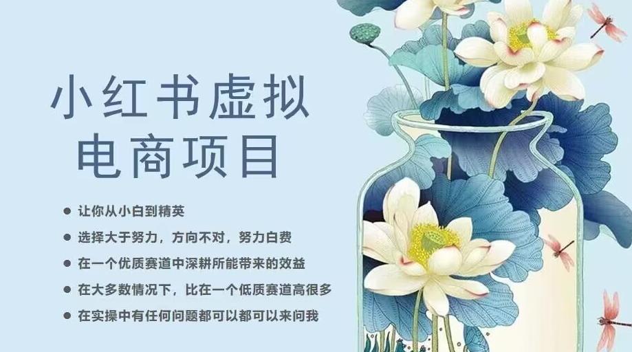 小红书虚拟电商从0到1，让你从小白到精英（20节实操课程）_中创网,自媒体短视频教学_网创项目_网络创业无忧资源网