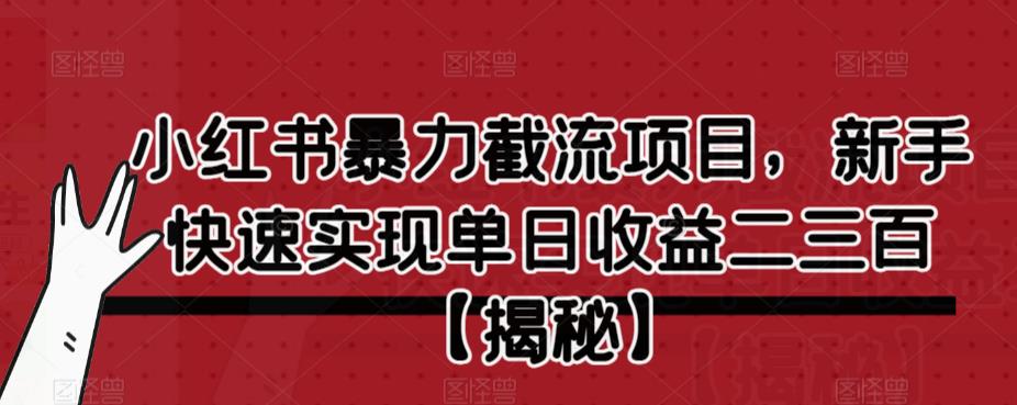 小红书暴力截流项目，新手快速实现单日收益二三百【仅揭秘】_中创网,自媒体短视频教学_网创项目_网络创业无忧资源网