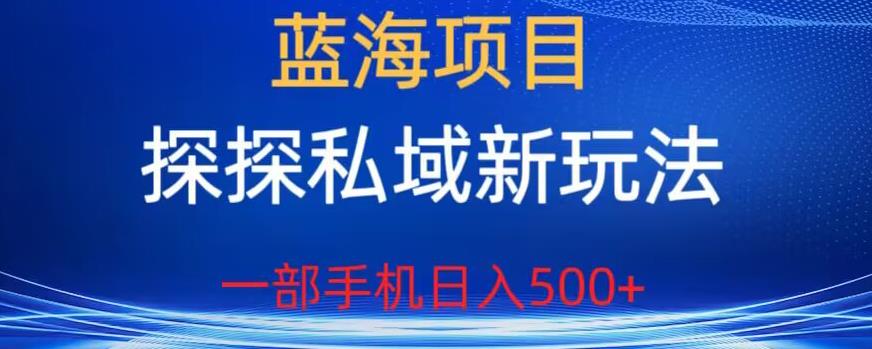 蓝海项目，探探私域新玩法，一部手机日入500+很轻松【揭秘】_中创网,自媒体短视频教学_网创项目_网络创业无忧资源网