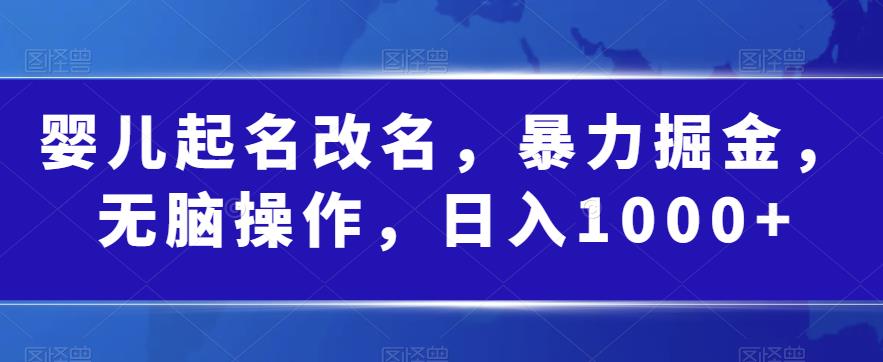 婴儿起名改名，暴力掘金，无脑操作，日入1000+【揭秘】_中创网,自媒体短视频教学_网创项目_网络创业无忧资源网