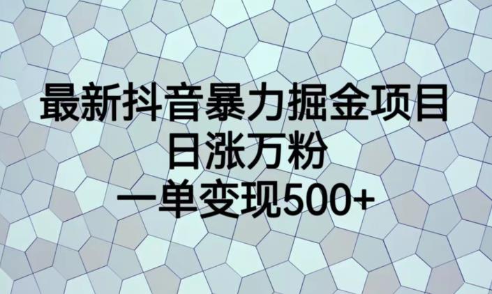 最新抖音暴力掘金项目，日涨万粉，一单变现500+【揭秘】_中创网,自媒体短视频教学_网创项目_网络创业无忧资源网