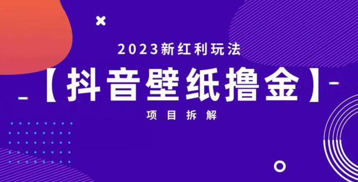 抖音壁纸小程序创作者撸金项目，2023新红利玩法【项目拆解】_中创网,自媒体短视频教学_网创项目_网络创业无忧资源网