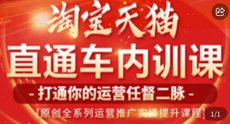 天问电商·2023淘宝天猫直通车内训课，零基础学起直通车运营实操课程_中创网,自媒体短视频教学_网创项目_网络创业无忧资源网