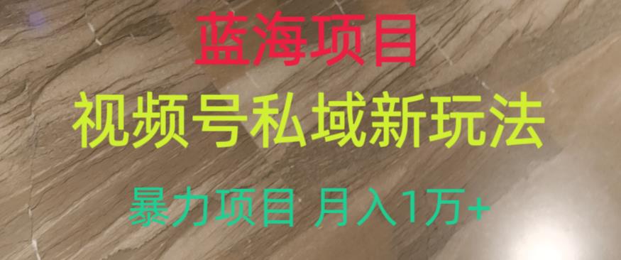 蓝海项目，视频号私域新玩法，暴力项目月入1万+【揭秘】_中创网,自媒体短视频教学_网创项目_网络创业无忧资源网