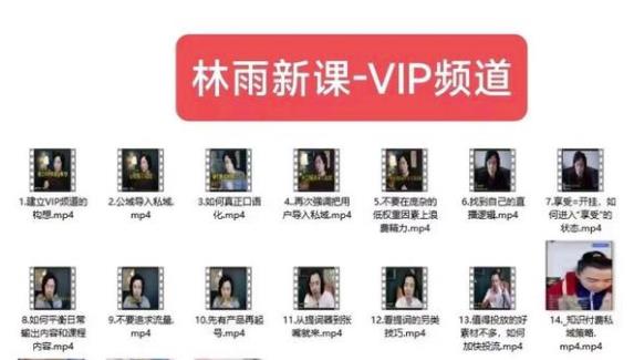 林雨新课VIP频道，玩赚私域/朋友圈/社群_中创网,自媒体短视频教学_网创项目_网络创业无忧资源网