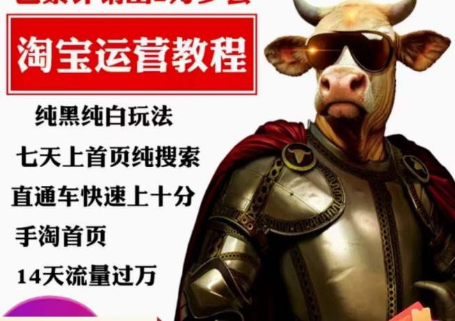 猫老师·淘系算法逆向解密，​纯黑纯白玩法，七天上首页纯搜索，手淘首页14天流量过万_中创网,自媒体短视频教学_网创项目_网络创业无忧资源网