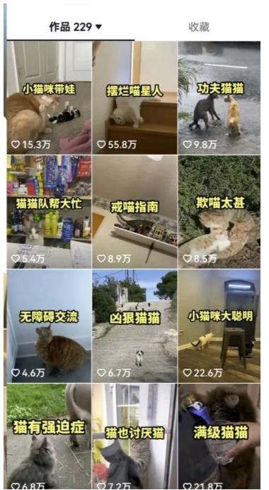 拆解抖音盘点类中视频变现副业项目，视频版一条龙大解析分享给你【视频课程】_中创网,自媒体短视频教学_网创项目_网络创业无忧资源网