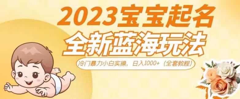 2023宝宝起名全新蓝海玩法，冷门暴力小白实操，日入1000+（全套教程）【揭秘】_中创网,自媒体短视频教学_网创项目_网络创业无忧资源网