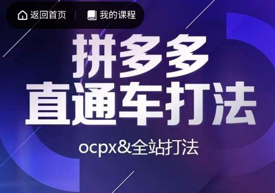 互力·拼多多直通车打法，ocpx&全站打法_中创网,自媒体短视频教学_网创项目_网络创业无忧资源网
