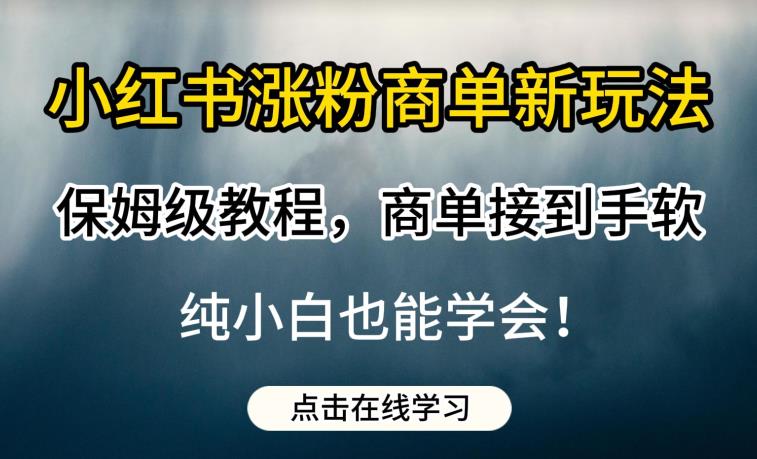 小红书涨粉商单新玩法，保姆级教程，商单接到手软，纯小白也能学会【揭秘】_中创网,自媒体短视频教学_网创项目_网络创业无忧资源网