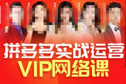 推易拼多多VIP全套直播课程，拼多多店铺实操玩法+实战玩法选款内功+直通车高阶等_中创网,自媒体短视频教学_网创项目_网络创业无忧资源网