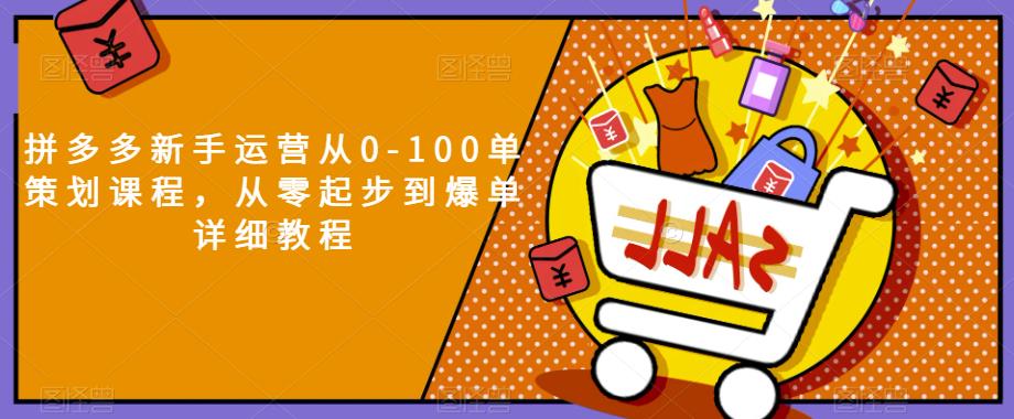 拼多多新手运营从0-100单策划课程，从零起步到爆单详细教程_中创网,自媒体短视频教学_网创项目_网络创业无忧资源网