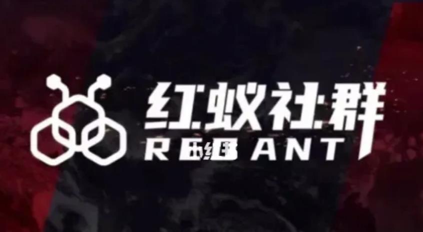 社群运营：红蚁社群【48节落地系统课程+2000人高端社群】_中创网,自媒体短视频教学_网创项目_网络创业无忧资源网